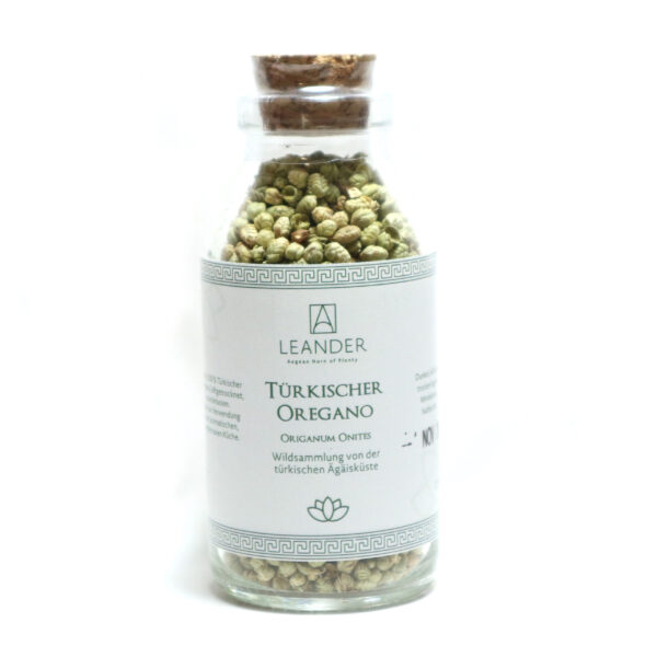 Türkischer Oregano