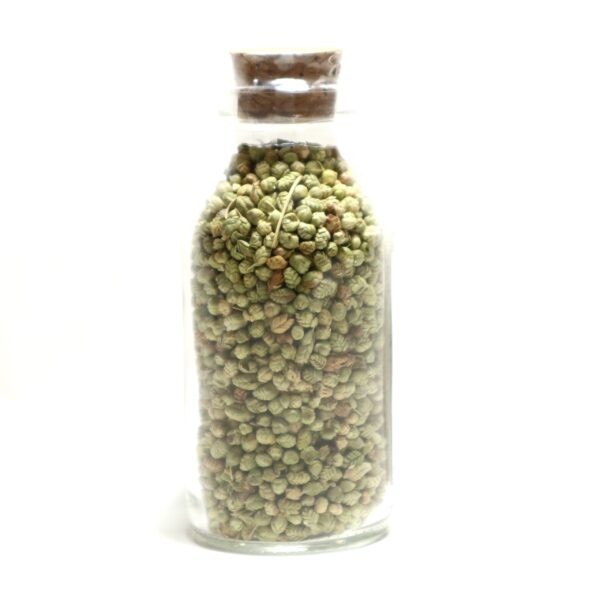Türkischer Oregano